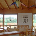 Tennisclub TSV Anderten 003