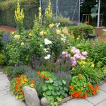 Tennisclub TSV Anderten 012